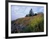 Houses, Maine, USA-Jerry & Marcy Monkman-Framed Photographic Print