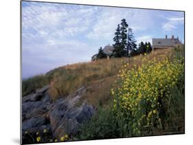 Houses, Maine, USA-Jerry & Marcy Monkman-Mounted Photographic Print