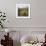 Houses of an Iron Age Village, 2nd Century Bc-CM Dixon-Framed Photographic Print displayed on a wall