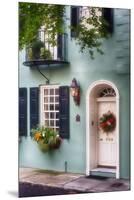 Houses of Charleston I, South Carolina-George Oze-Mounted Premium Photographic Print