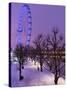 Houses of Parliament and London Eye in Winter, London, England, United Kingdom, Europe-Stuart Black-Stretched Canvas