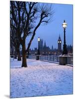Houses of Parliament and South Bank in Winter, London, England, United Kingdom, Europe-Stuart Black-Mounted Photographic Print