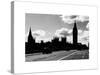 Houses of Parliament and Westminster Bridge - Big Ben - City of London - England - United Kingdom-Philippe Hugonnard-Stretched Canvas