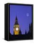 Houses of Parliament, London, England-Rex Butcher-Framed Stretched Canvas