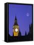 Houses of Parliament, London, England-Rex Butcher-Framed Stretched Canvas