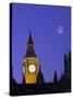 Houses of Parliament, London, England-Rex Butcher-Stretched Canvas