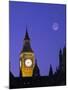 Houses of Parliament, London, England-Rex Butcher-Mounted Photographic Print