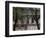 Houses on a Street in Toulouse, Midi Pyrenees, France-null-Framed Photographic Print