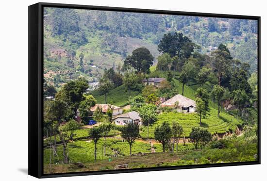 Houses on a Tea Estate in Haputale, Sri Lanka Hill Country, Sri Lanka, Asia-Matthew Williams-Ellis-Framed Stretched Canvas