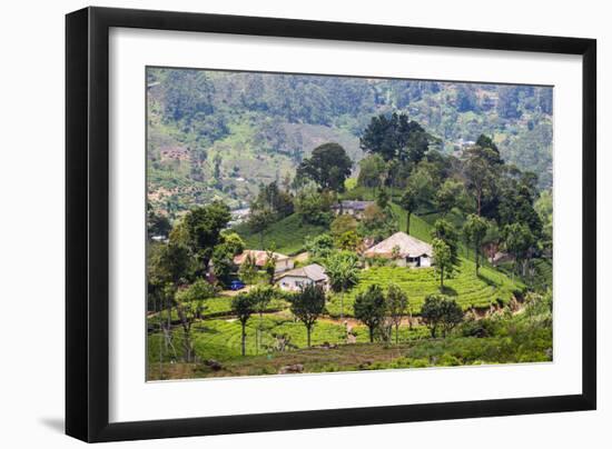 Houses on a Tea Estate in Haputale, Sri Lanka Hill Country, Sri Lanka, Asia-Matthew Williams-Ellis-Framed Photographic Print