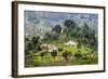 Houses on a Tea Estate in Haputale, Sri Lanka Hill Country, Sri Lanka, Asia-Matthew Williams-Ellis-Framed Photographic Print