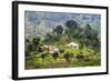 Houses on a Tea Estate in Haputale, Sri Lanka Hill Country, Sri Lanka, Asia-Matthew Williams-Ellis-Framed Photographic Print