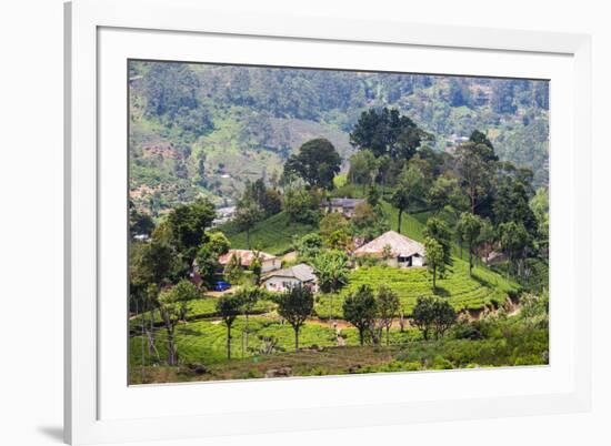 Houses on a Tea Estate in Haputale, Sri Lanka Hill Country, Sri Lanka, Asia-Matthew Williams-Ellis-Framed Photographic Print