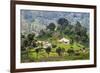 Houses on a Tea Estate in Haputale, Sri Lanka Hill Country, Sri Lanka, Asia-Matthew Williams-Ellis-Framed Photographic Print