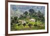 Houses on a Tea Estate in Haputale, Sri Lanka Hill Country, Sri Lanka, Asia-Matthew Williams-Ellis-Framed Photographic Print