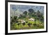 Houses on a Tea Estate in Haputale, Sri Lanka Hill Country, Sri Lanka, Asia-Matthew Williams-Ellis-Framed Photographic Print