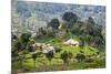 Houses on a Tea Estate in Haputale, Sri Lanka Hill Country, Sri Lanka, Asia-Matthew Williams-Ellis-Mounted Photographic Print