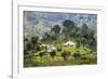 Houses on a Tea Estate in Haputale, Sri Lanka Hill Country, Sri Lanka, Asia-Matthew Williams-Ellis-Framed Photographic Print