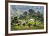 Houses on a Tea Estate in Haputale, Sri Lanka Hill Country, Sri Lanka, Asia-Matthew Williams-Ellis-Framed Photographic Print