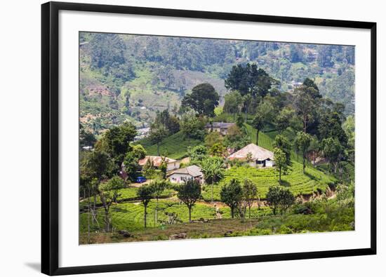 Houses on a Tea Estate in Haputale, Sri Lanka Hill Country, Sri Lanka, Asia-Matthew Williams-Ellis-Framed Photographic Print