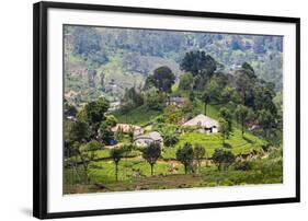 Houses on a Tea Estate in Haputale, Sri Lanka Hill Country, Sri Lanka, Asia-Matthew Williams-Ellis-Framed Photographic Print