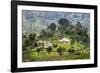 Houses on a Tea Estate in Haputale, Sri Lanka Hill Country, Sri Lanka, Asia-Matthew Williams-Ellis-Framed Photographic Print