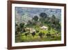 Houses on a Tea Estate in Haputale, Sri Lanka Hill Country, Sri Lanka, Asia-Matthew Williams-Ellis-Framed Photographic Print