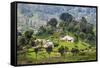 Houses on a Tea Estate in Haputale, Sri Lanka Hill Country, Sri Lanka, Asia-Matthew Williams-Ellis-Framed Stretched Canvas