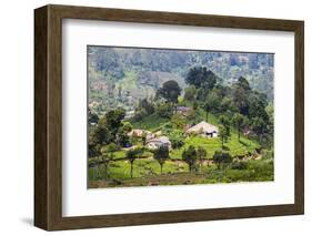 Houses on a Tea Estate in Haputale, Sri Lanka Hill Country, Sri Lanka, Asia-Matthew Williams-Ellis-Framed Photographic Print