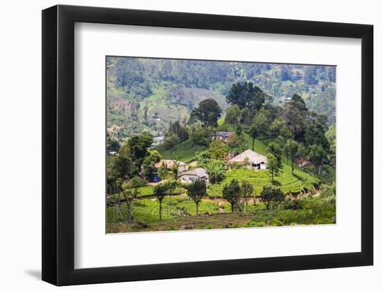 Houses on a Tea Estate in Haputale, Sri Lanka Hill Country, Sri Lanka, Asia-Matthew Williams-Ellis-Framed Photographic Print