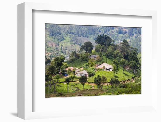 Houses on a Tea Estate in Haputale, Sri Lanka Hill Country, Sri Lanka, Asia-Matthew Williams-Ellis-Framed Photographic Print