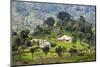 Houses on a Tea Estate in Haputale, Sri Lanka Hill Country, Sri Lanka, Asia-Matthew Williams-Ellis-Mounted Photographic Print