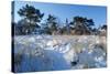 Houses on the Beach, Seaside Resort of Binz, Island of Ruegen, Germany-null-Stretched Canvas