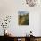 Houses Perched on Cliffs, Ronda, Andalucia, Spain-Rob Cousins-Photographic Print displayed on a wall