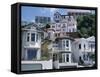 Houses, Wellington, North Island, New Zealand-Adam Woolfitt-Framed Stretched Canvas