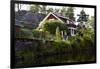 Houses with Lennartsfors in the Dalsland Canal, on Lelång Lake, Dalsland, Värmlands län, Sweden-Andrea Lang-Framed Photographic Print