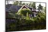 Houses with Lennartsfors in the Dalsland Canal, on Lelång Lake, Dalsland, Värmlands län, Sweden-Andrea Lang-Mounted Photographic Print