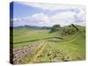 Housesteads, Hadrian's Wall, Northumberland, England, UK-Roy Rainford-Stretched Canvas