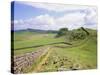 Housesteads, Hadrian's Wall, Northumberland, England, UK-Roy Rainford-Stretched Canvas