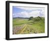 Housesteads, Hadrian's Wall, Northumberland, England, UK-Roy Rainford-Framed Photographic Print