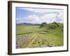 Housesteads, Hadrian's Wall, Northumberland, England, UK-Roy Rainford-Framed Photographic Print