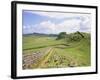 Housesteads, Hadrian's Wall, Northumberland, England, UK-Roy Rainford-Framed Photographic Print