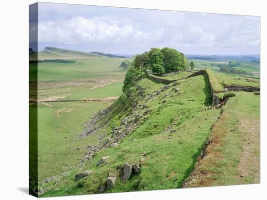 Housesteads, Hadrian's Wall, Northumberland, England, UK-Roy Rainford-Stretched Canvas