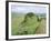 Housesteads, Hadrian's Wall, Northumberland, England, UK-Roy Rainford-Framed Photographic Print