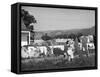 Housewife in Tygart Valley Removing Laundry from Clothesline, Her Young Daughter Stands Beside Her-Carl Mydans-Framed Stretched Canvas