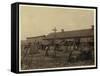 Housing for About 50 Employees of Maggioni Canning Co.-Lewis Wickes Hine-Framed Stretched Canvas