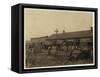 Housing for About 50 Employees of Maggioni Canning Co.-Lewis Wickes Hine-Framed Stretched Canvas