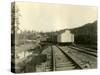 Housing For Railroad Workers, Lake Crescent, 1919-Asahel Curtis-Stretched Canvas