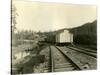 Housing For Railroad Workers, Lake Crescent, 1919-Asahel Curtis-Stretched Canvas