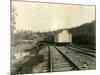 Housing For Railroad Workers, Lake Crescent, 1919-Asahel Curtis-Mounted Giclee Print